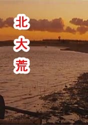 日韩在线视频二区