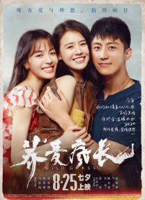 a集毛片